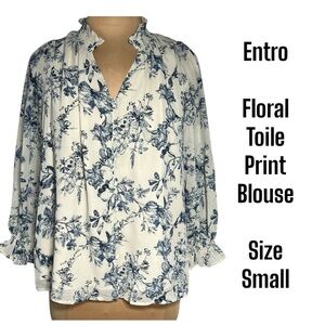Entro Blue floral Toile Blouse Size Small